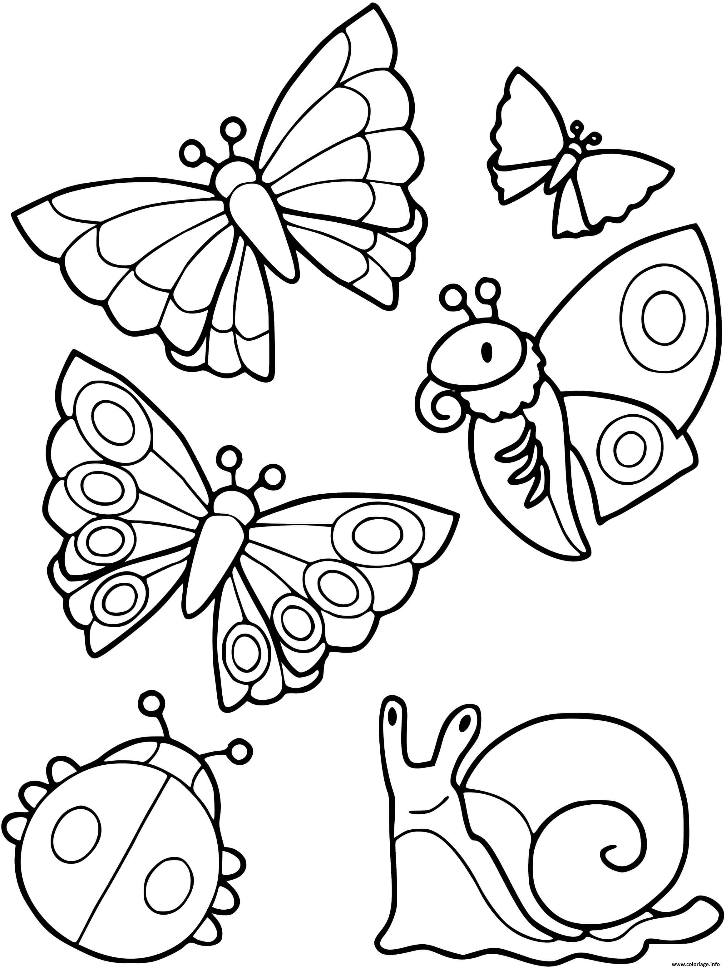 Dessin collection de petites betes escargot papillon coccinelle Coloriage Gratuit à Imprimer