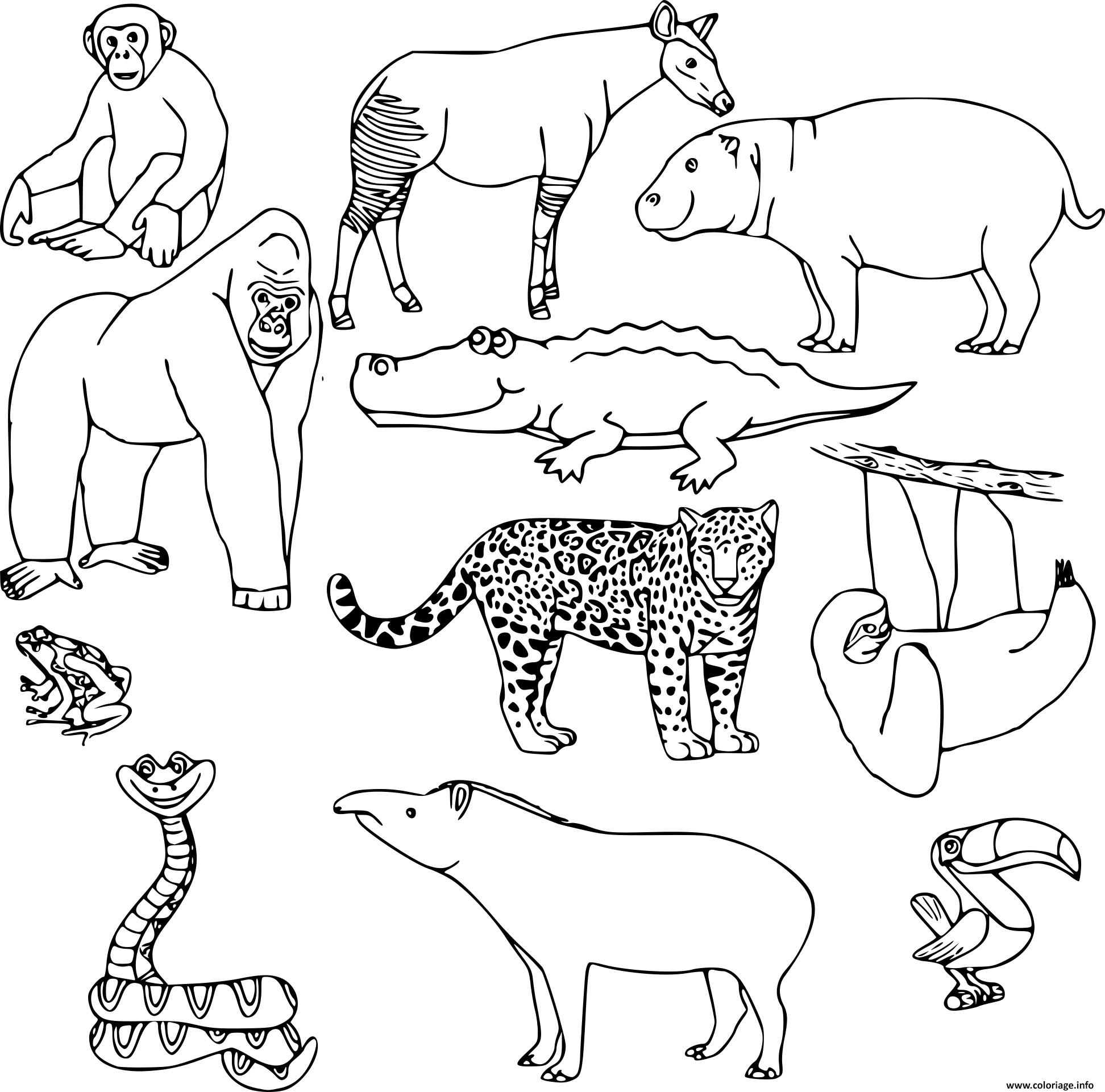 Coloriage animaux sauvages dans la jungle en nature - JeColorie.com