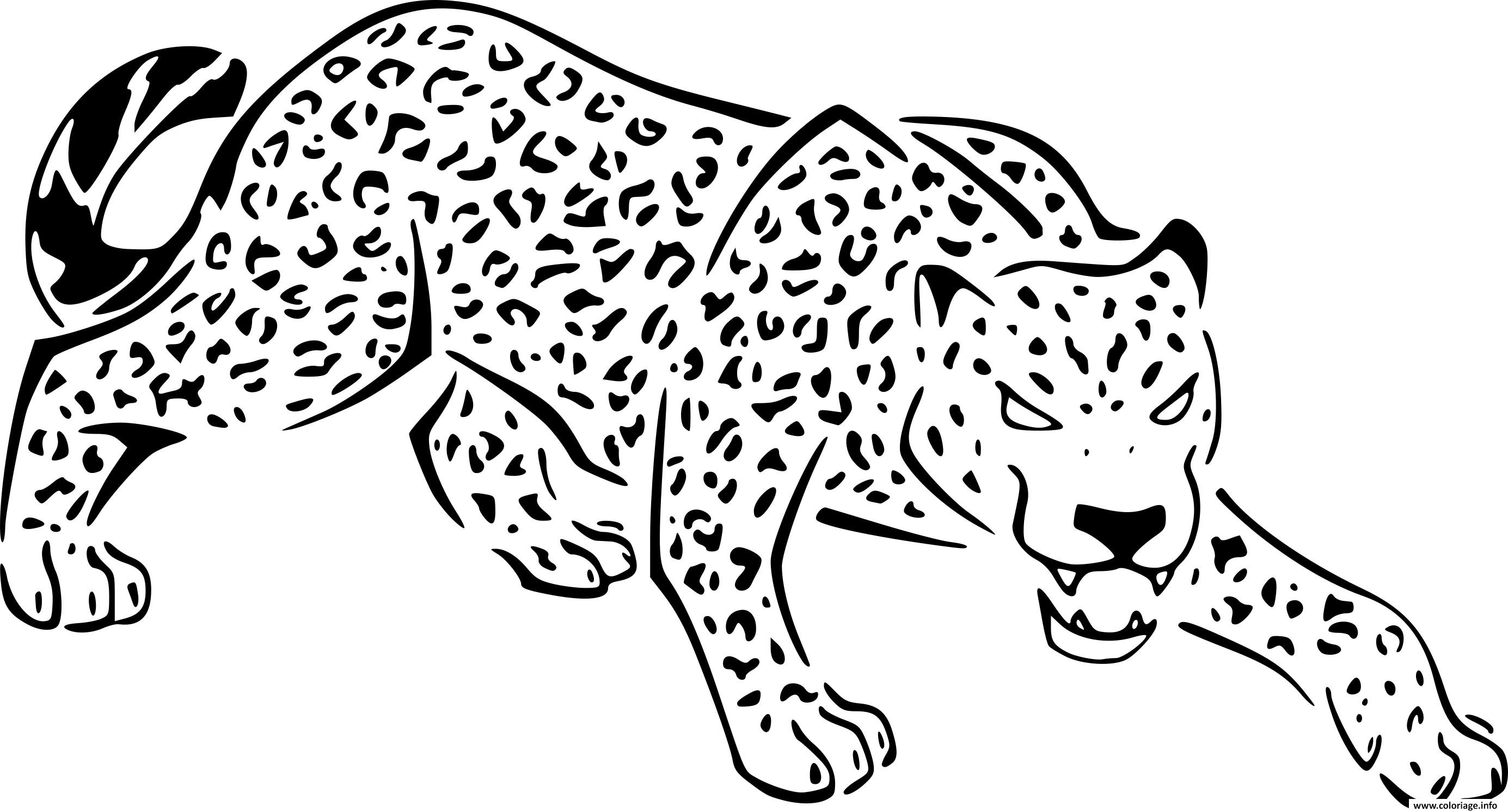 Dessin jaguar felin panthera de la jungle Coloriage Gratuit à Imprimer