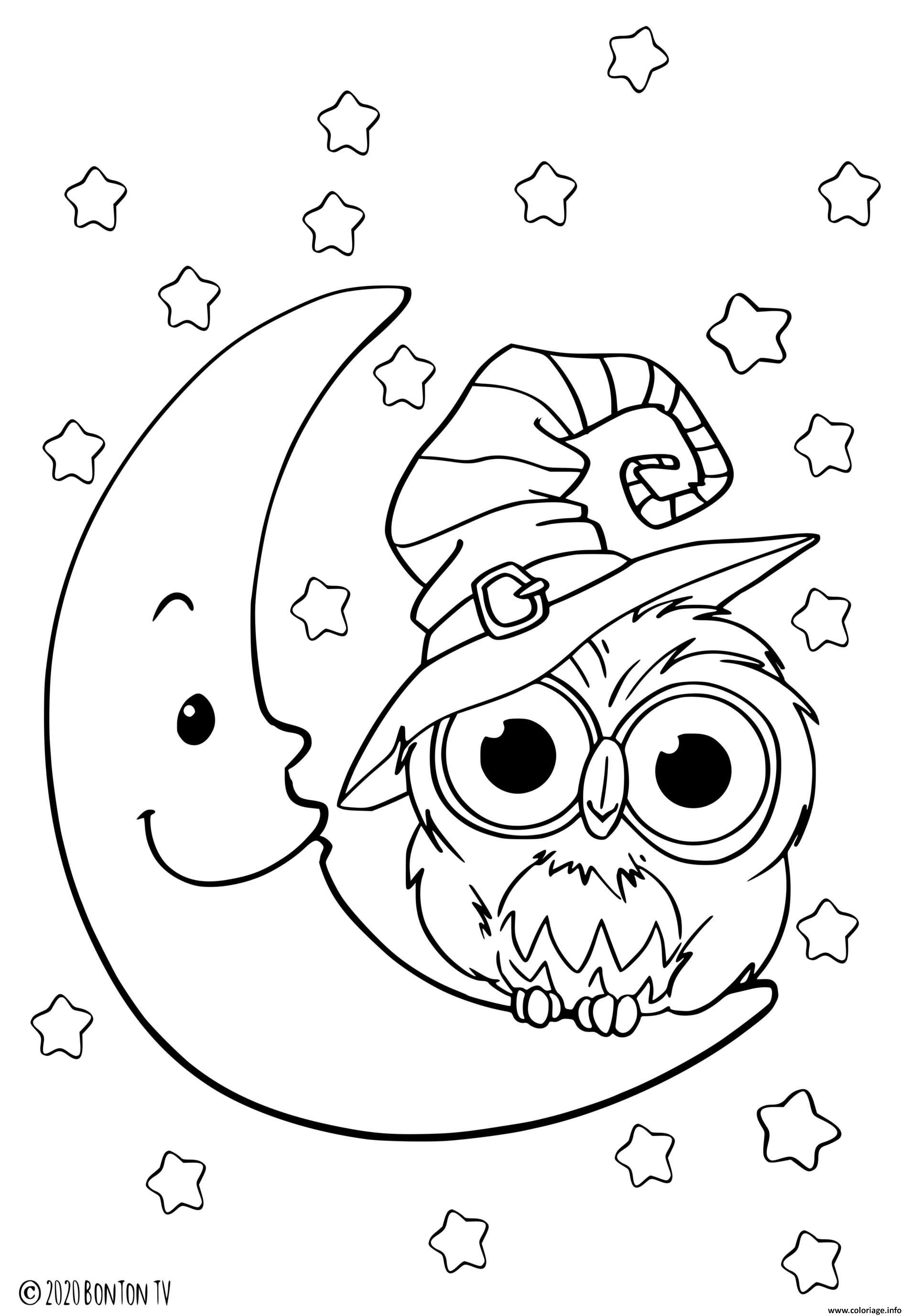 coloriage hibou sur la lune pour le jour de halloween dessin a imprimer chien gratuit