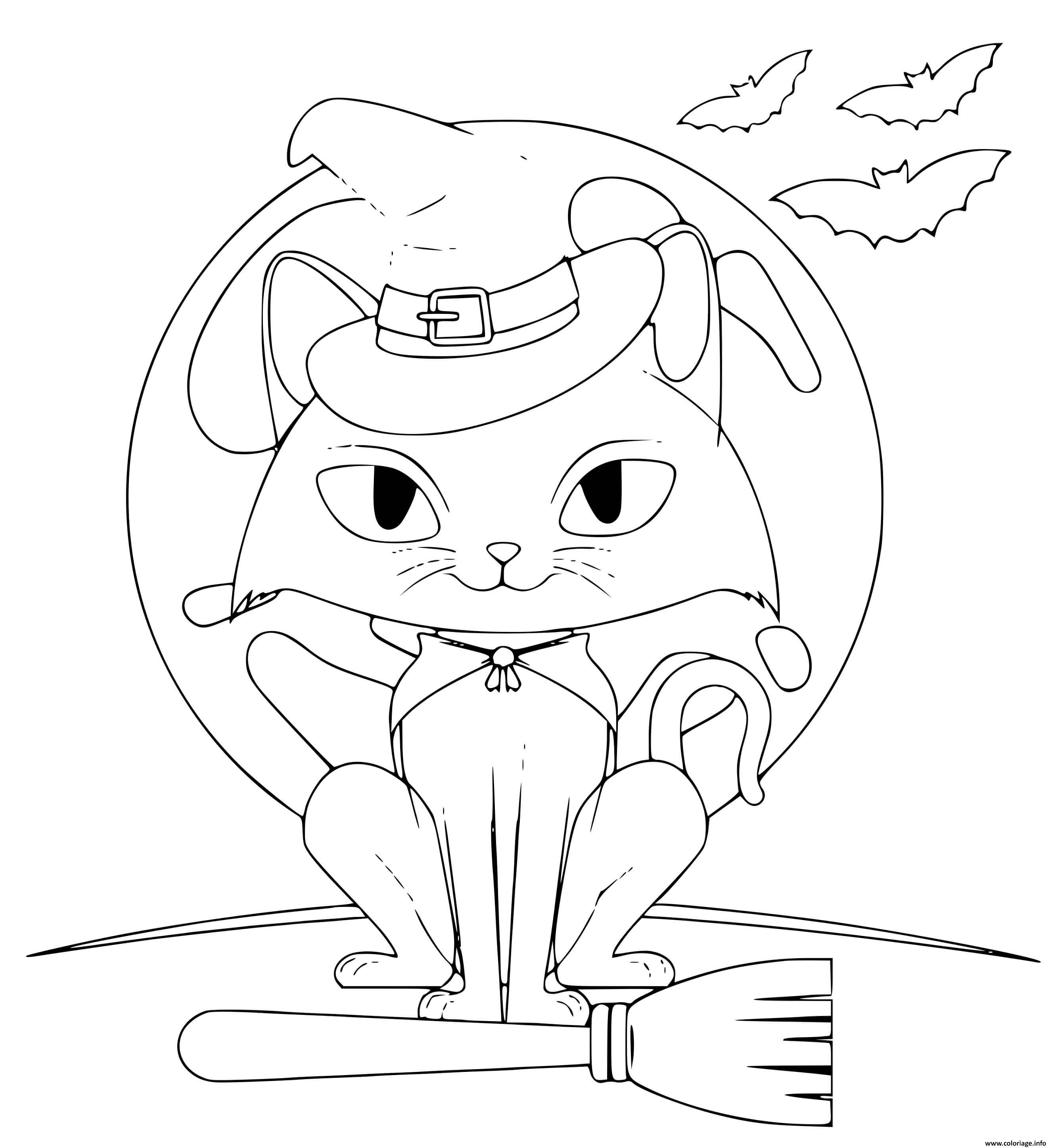 Dessin chat en mode sorciere devant la lune Coloriage Gratuit à Imprimer