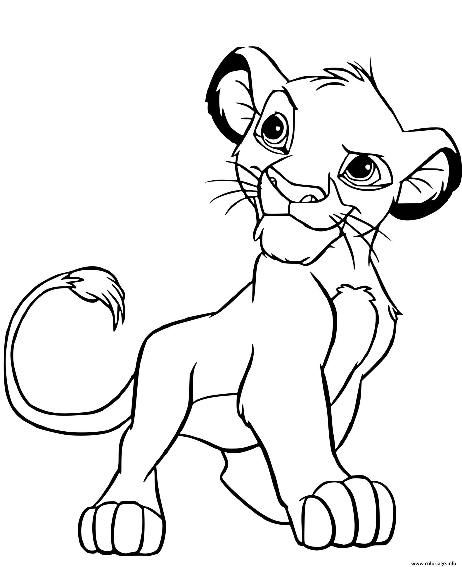 Coloriage Simba Roi Lion Dessin Simba à imprimer