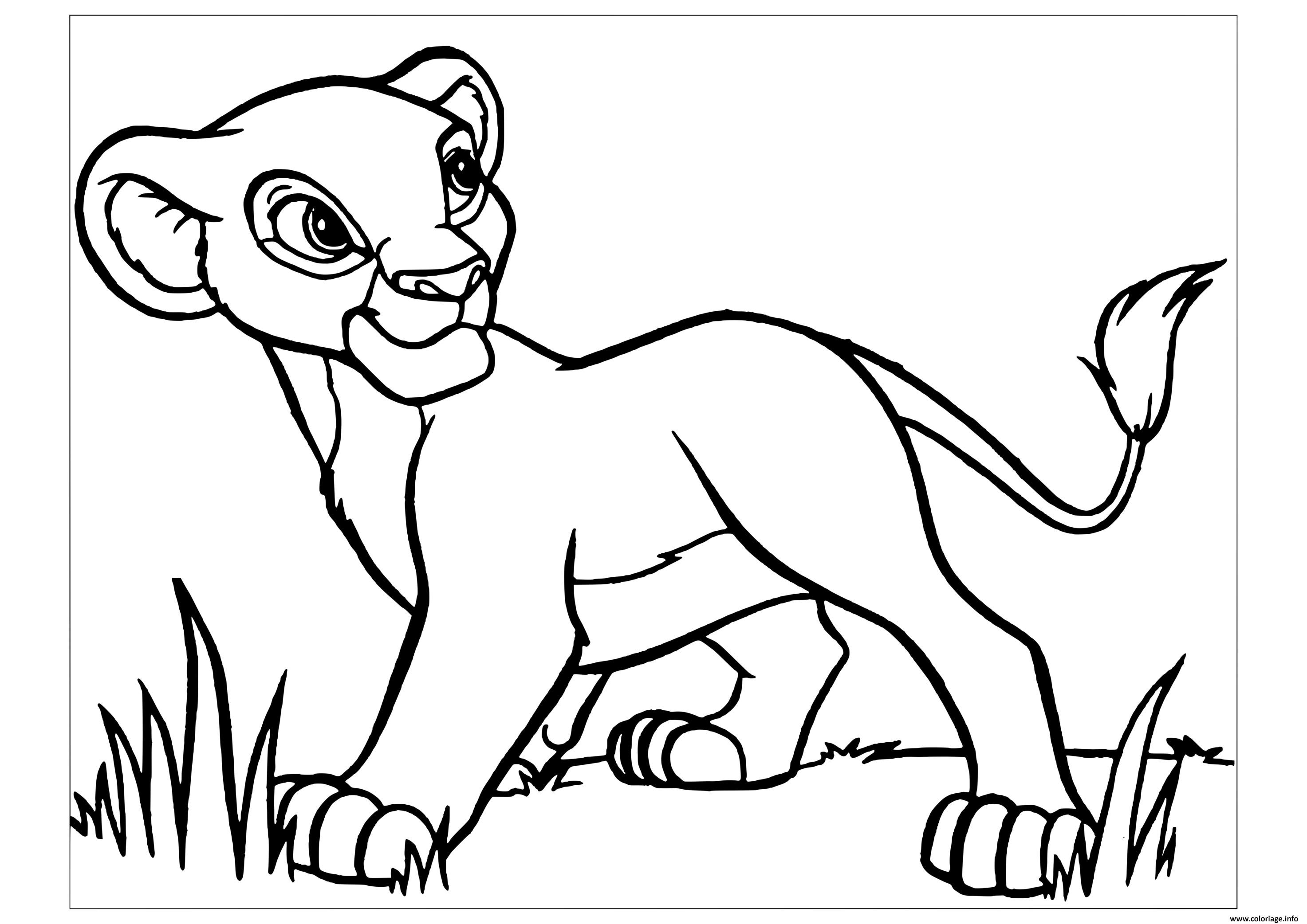 Dessin simba dans le roi lion 3 hakuna matata Coloriage Gratuit à Imprimer