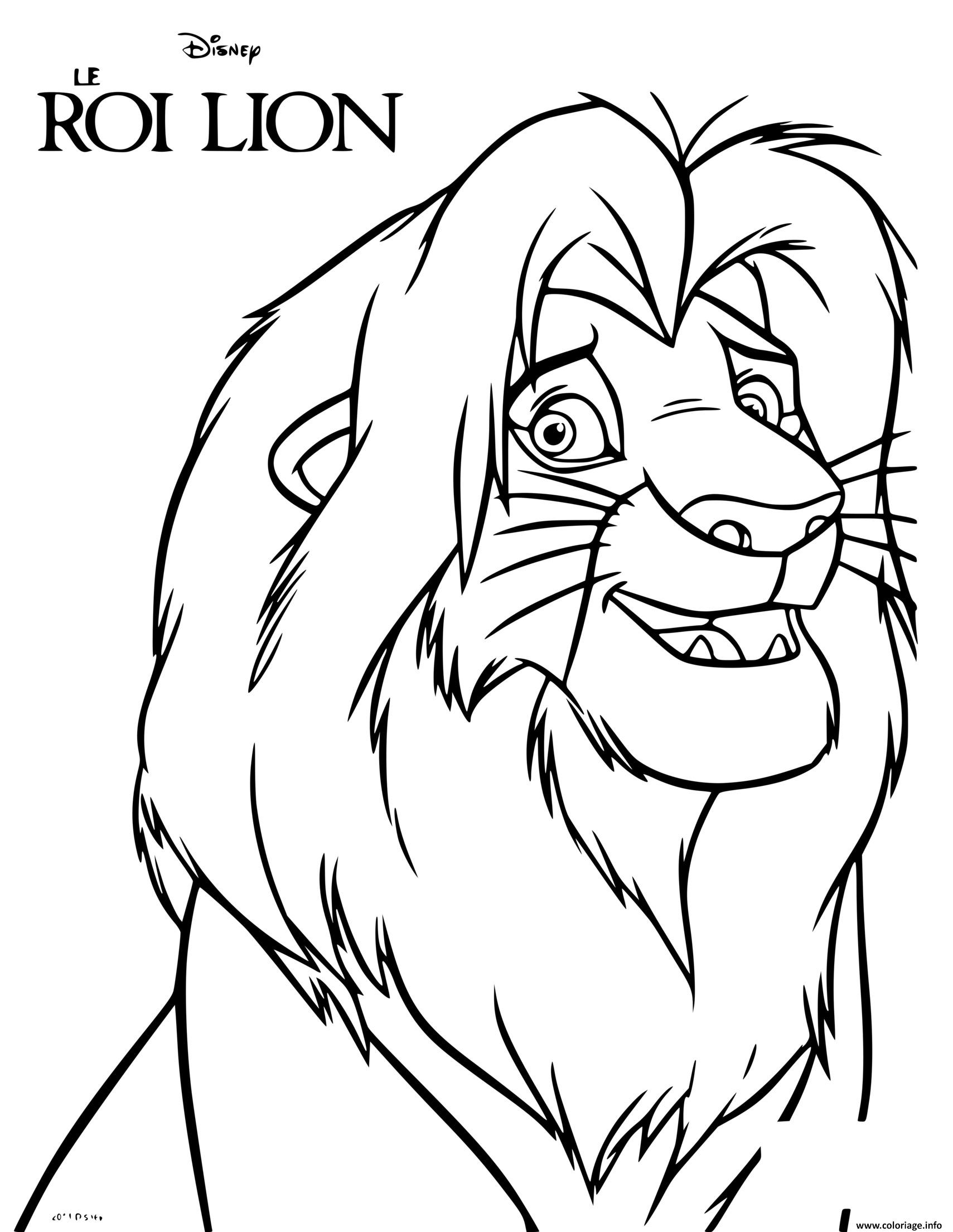 Coloriage Le Futur Roi Lion Simba Le Souverain Legitime Dessin Simba à