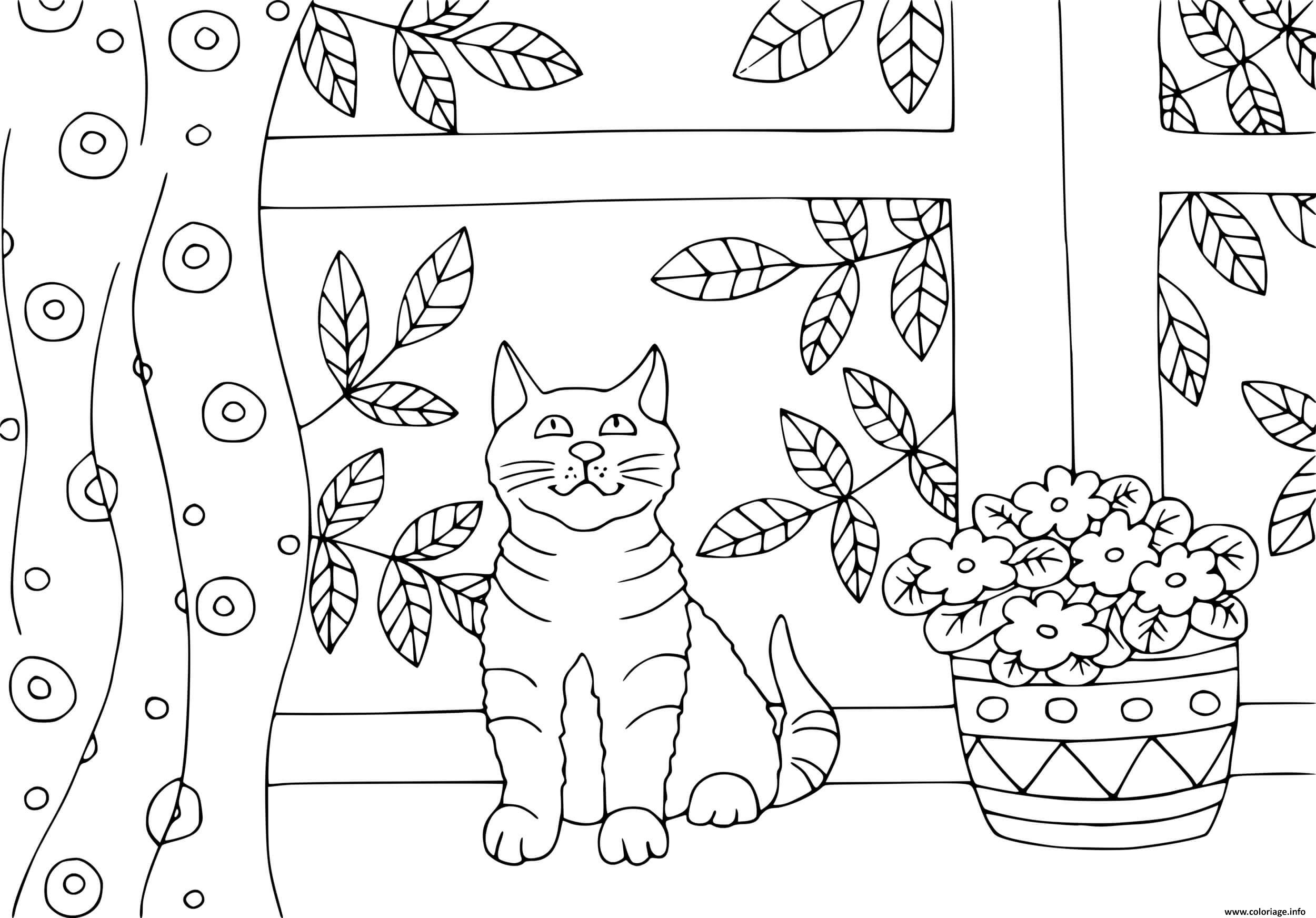 Dessin un chaton pres de la fenetre dans sa maison Coloriage Gratuit à Imprimer