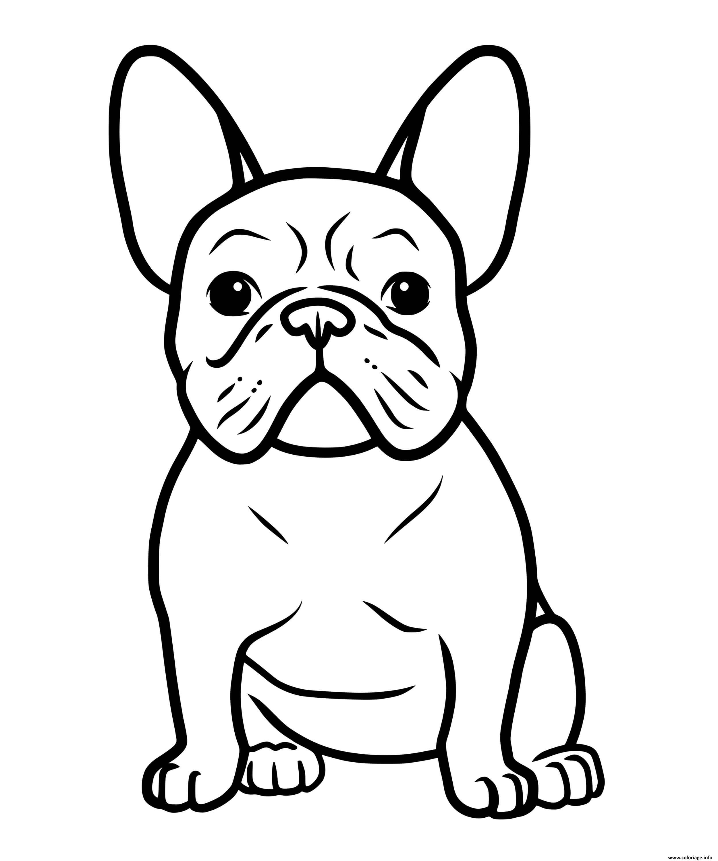 Coloriage Chiot Bulldog Anglais Dessin Chien à imprimer