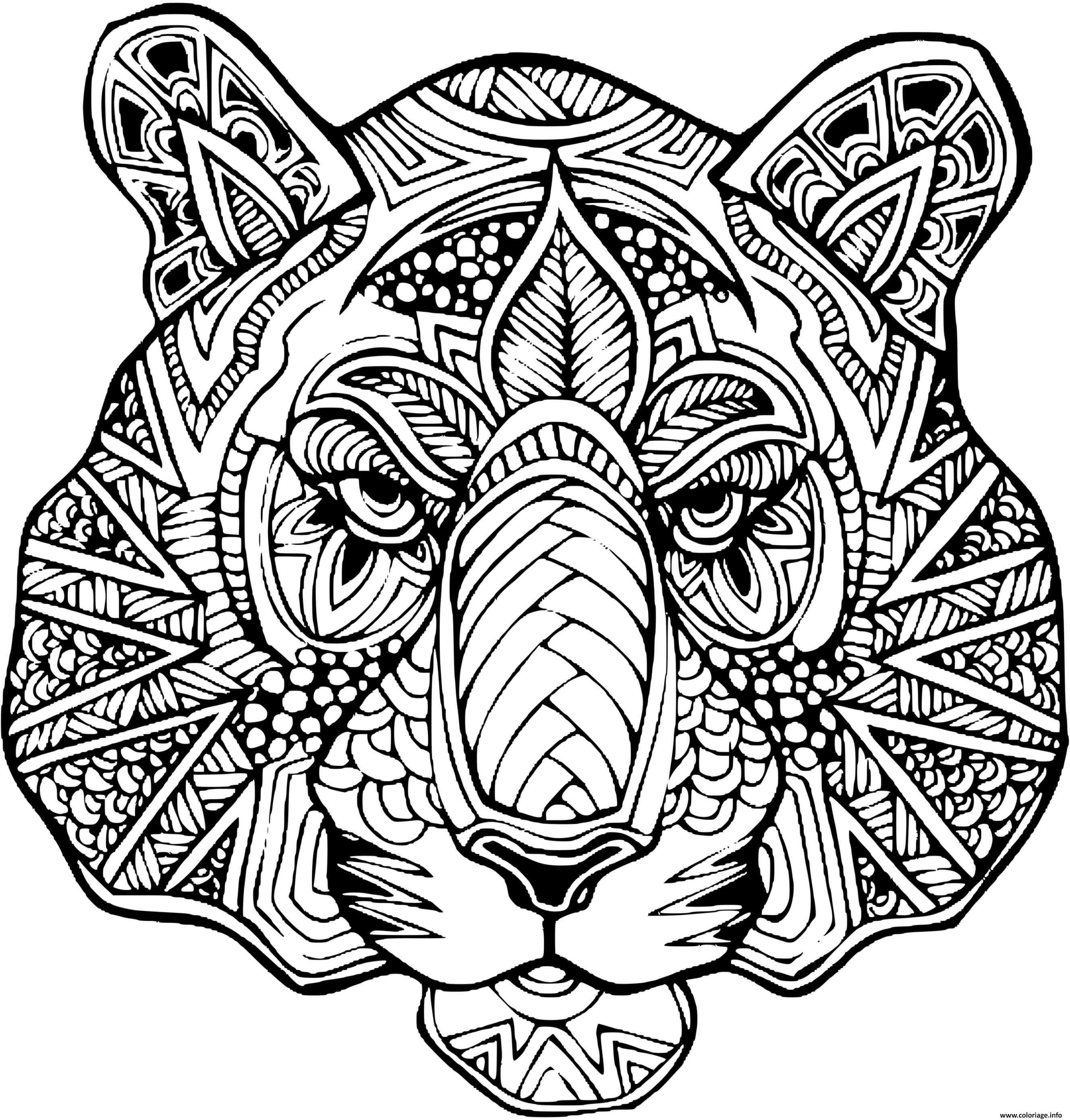 Coloriage Tigre Mandala Adulte Felin Dessin à Imprimer