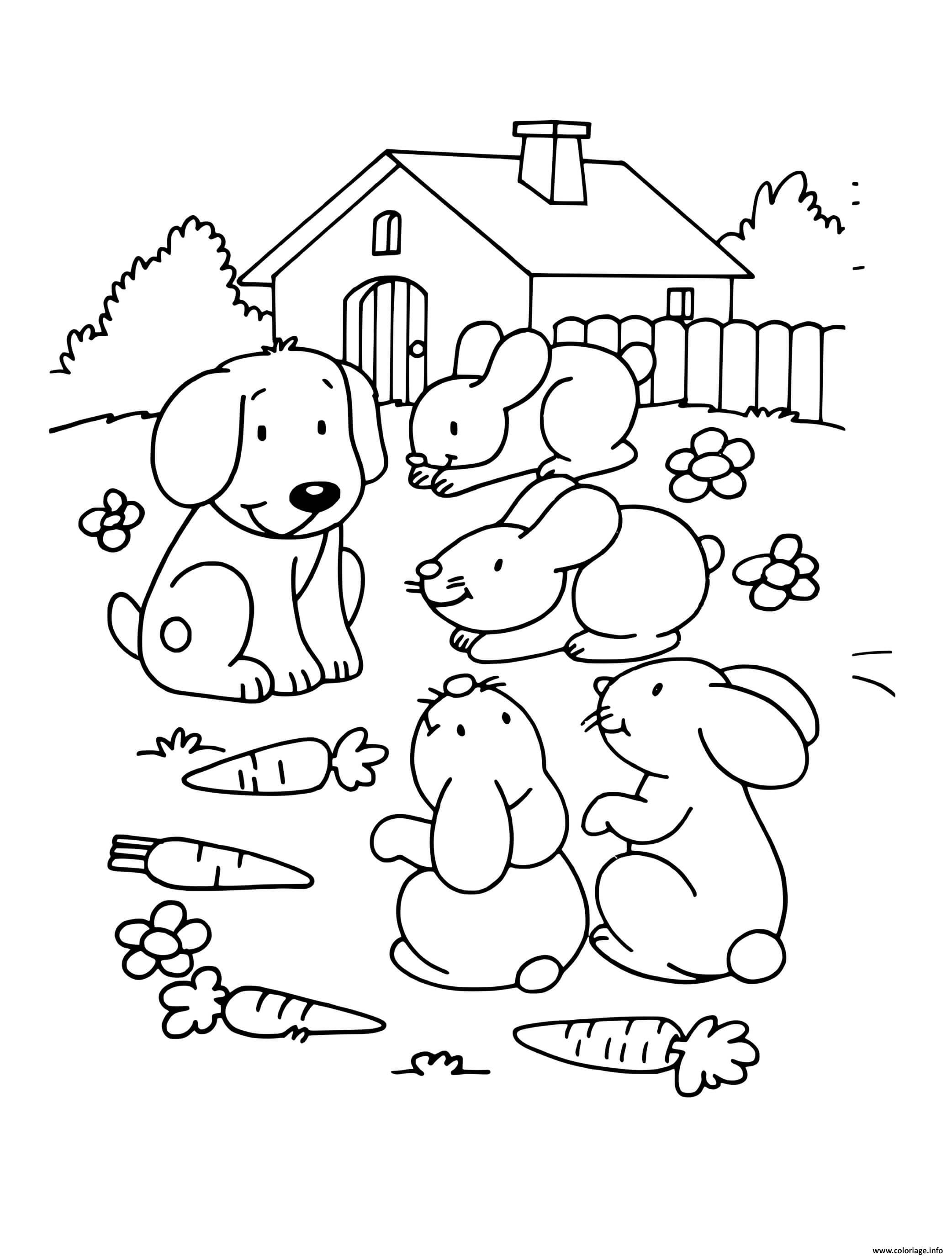 Dessin chien avec ses amis animaux lapins et des carottes Coloriage Gratuit à Imprimer