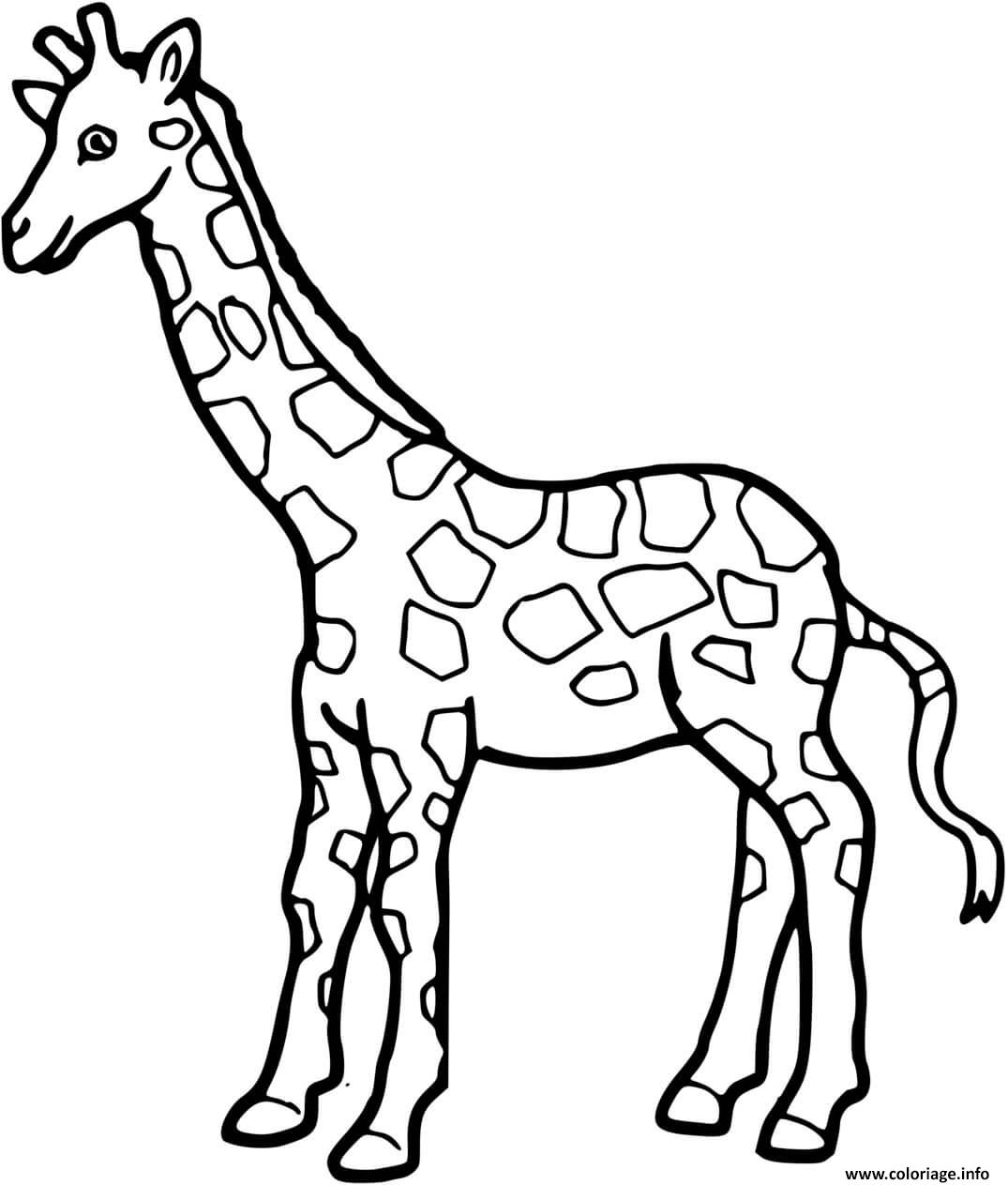Dessin girafe a colorier Coloriage Gratuit à Imprimer