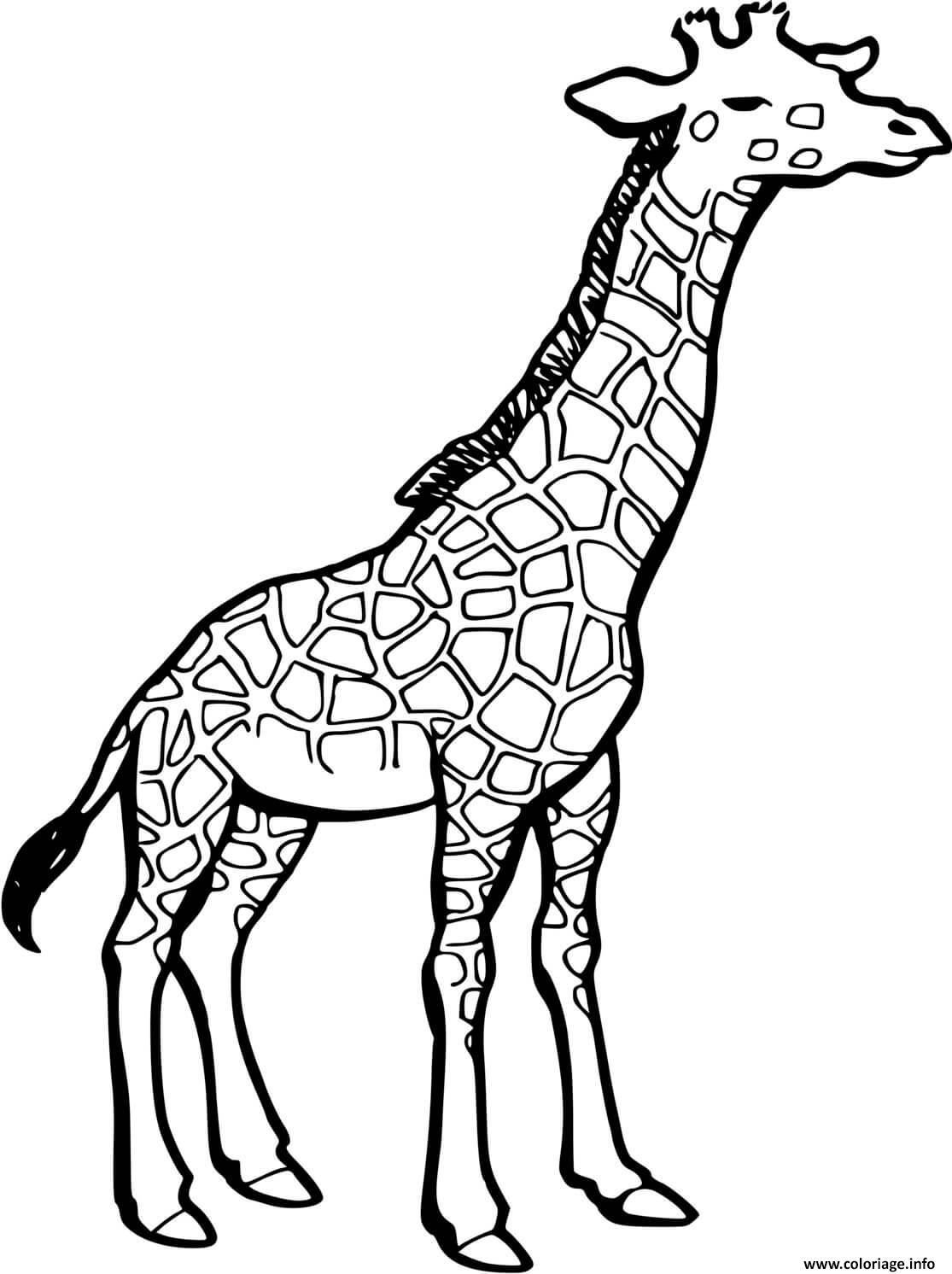 Coloriage Dessin D Une Girafe Dessin à Imprimer