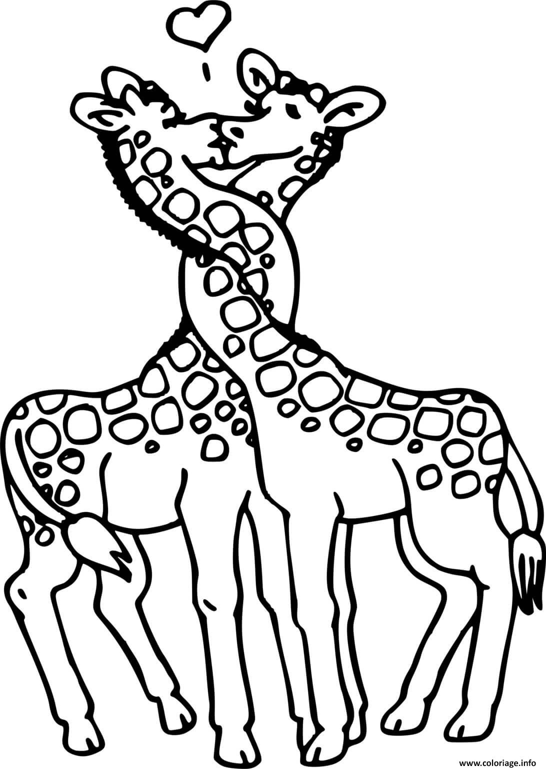 Coloriage Deux Girafes S Embrassent Dessin Girafe à imprimer