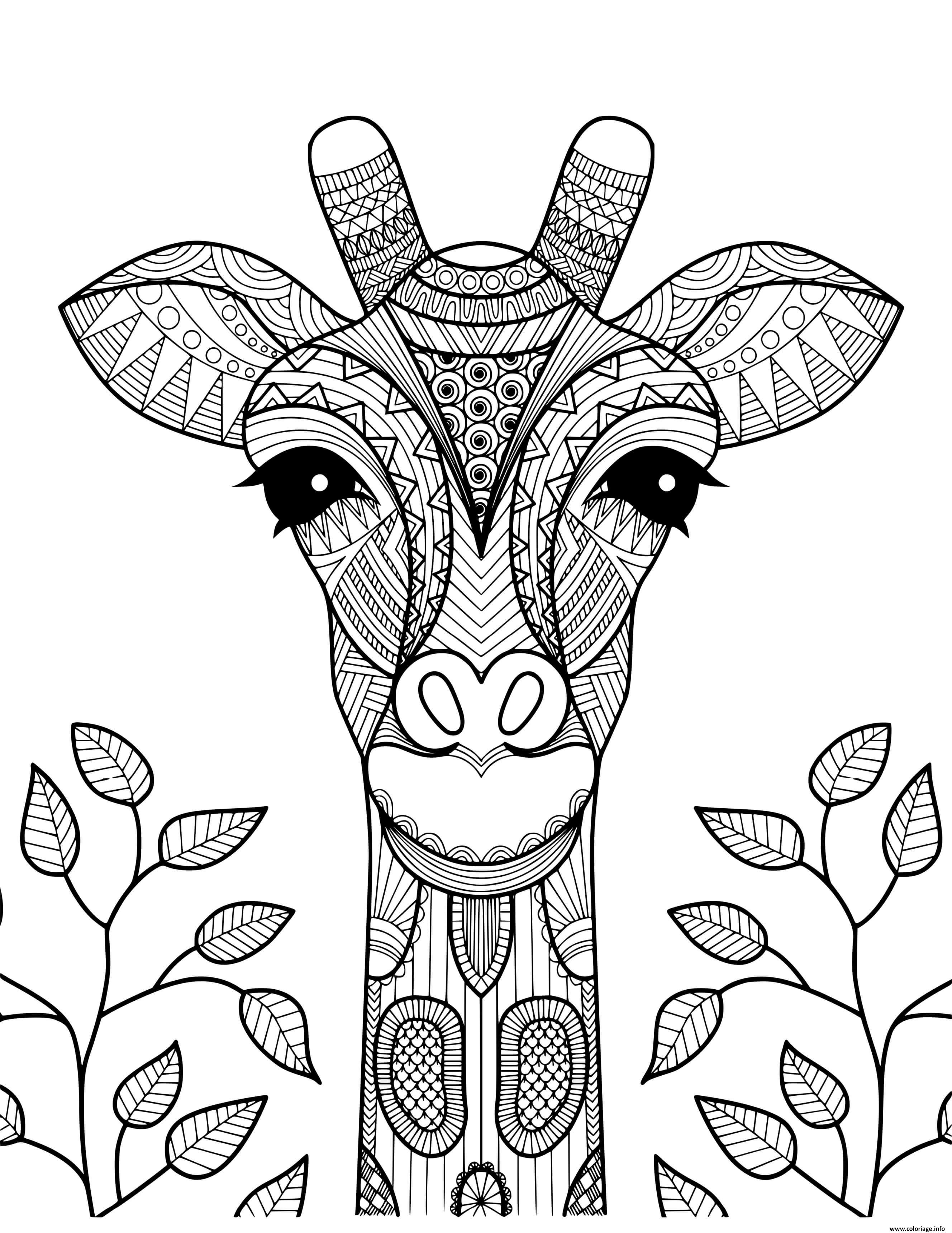 Coloriage Girafe Pour Adulte Zentangle Dessin à Imprimer