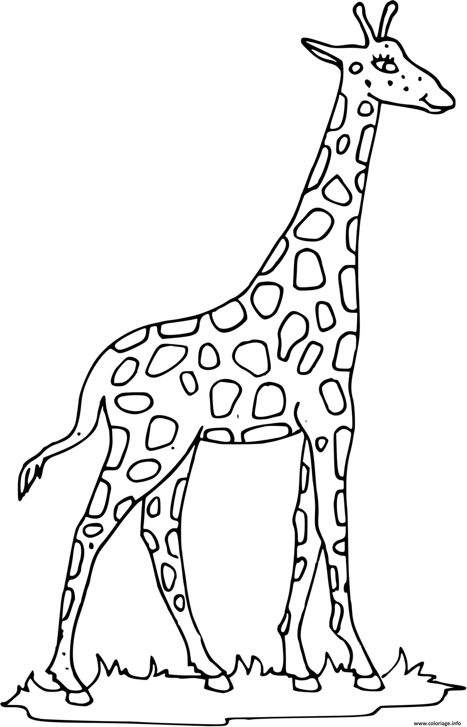 Coloriage Girafe Avec Un Long Cou Dessin Girafe A Imprimer