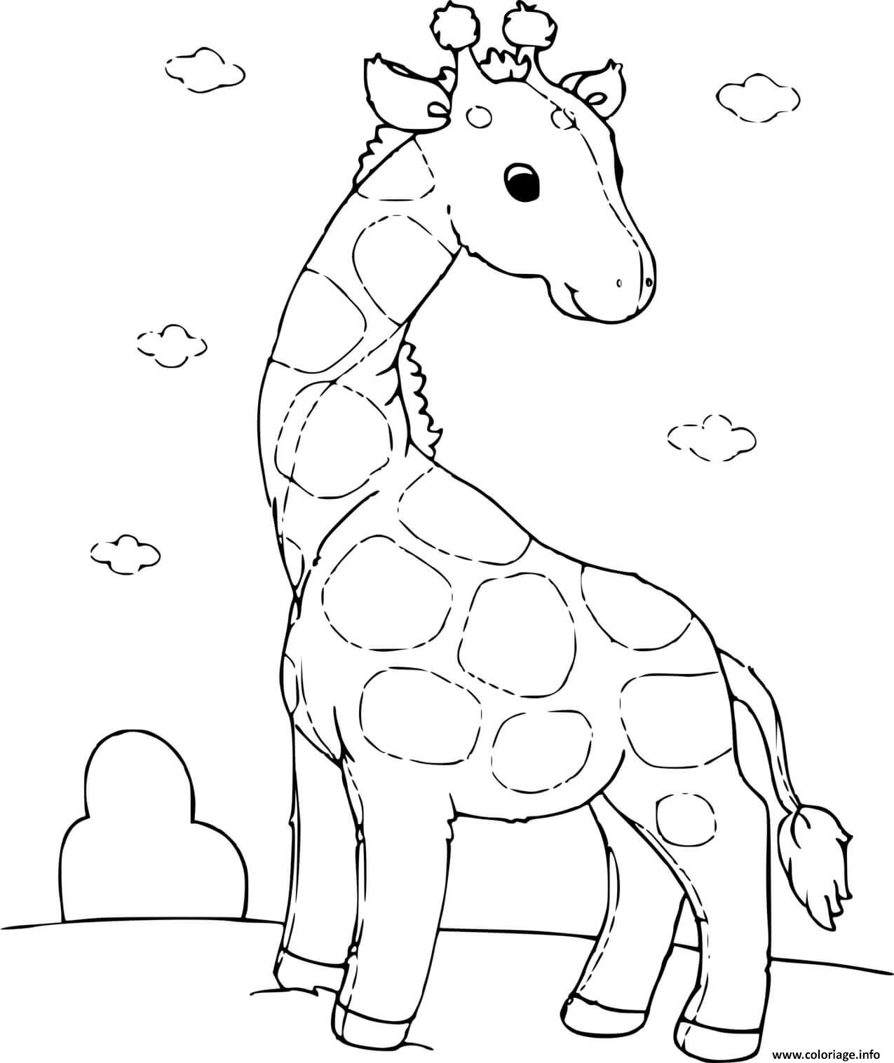 Dessin girafon Coloriage Gratuit à Imprimer