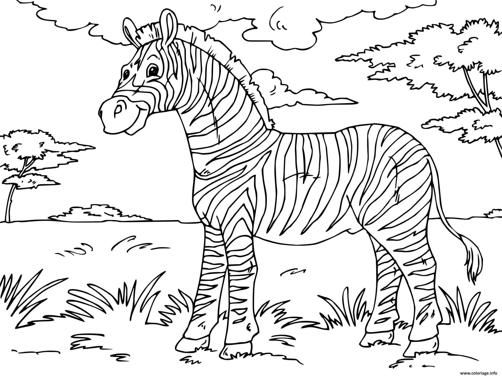 Dessin zebre un mammifere herbivore ressemblant au cheval Coloriage Gratuit à Imprimer
