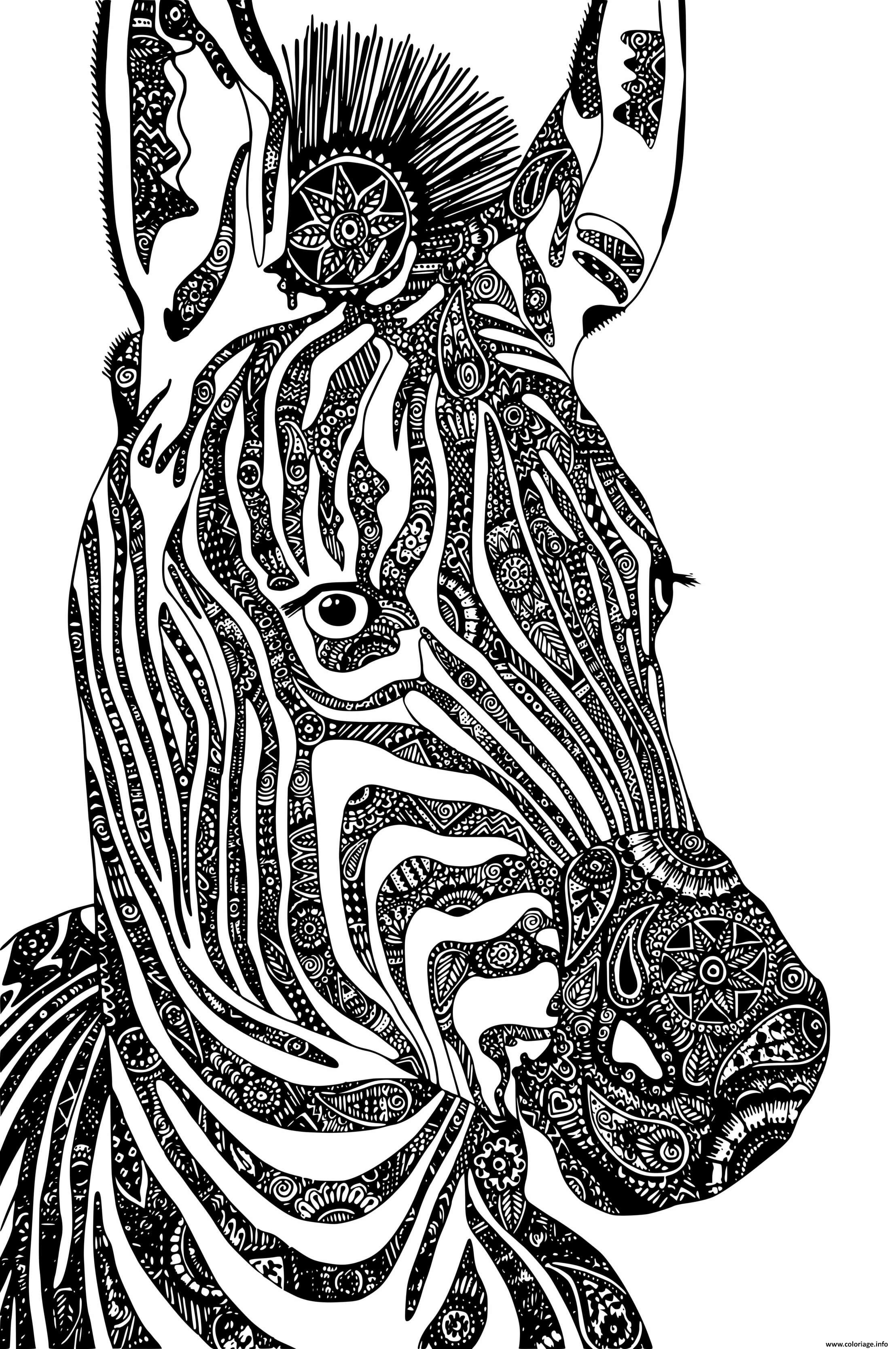 Dessin zebre mandala adulte zentangle Coloriage Gratuit à Imprimer