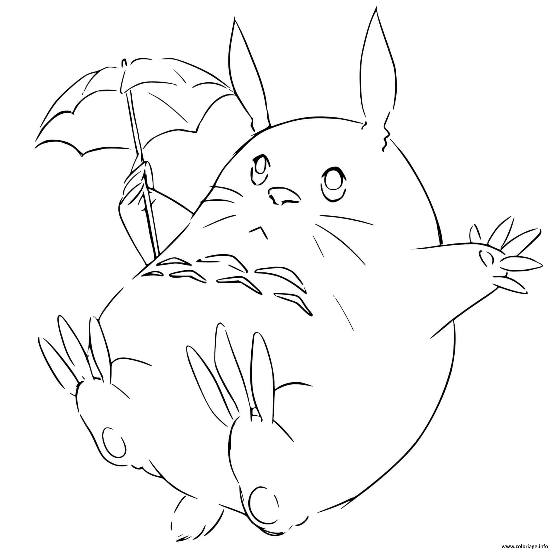 Coloriage Totoro Line Art Manga Anime Dessin Totoro A Imprimer