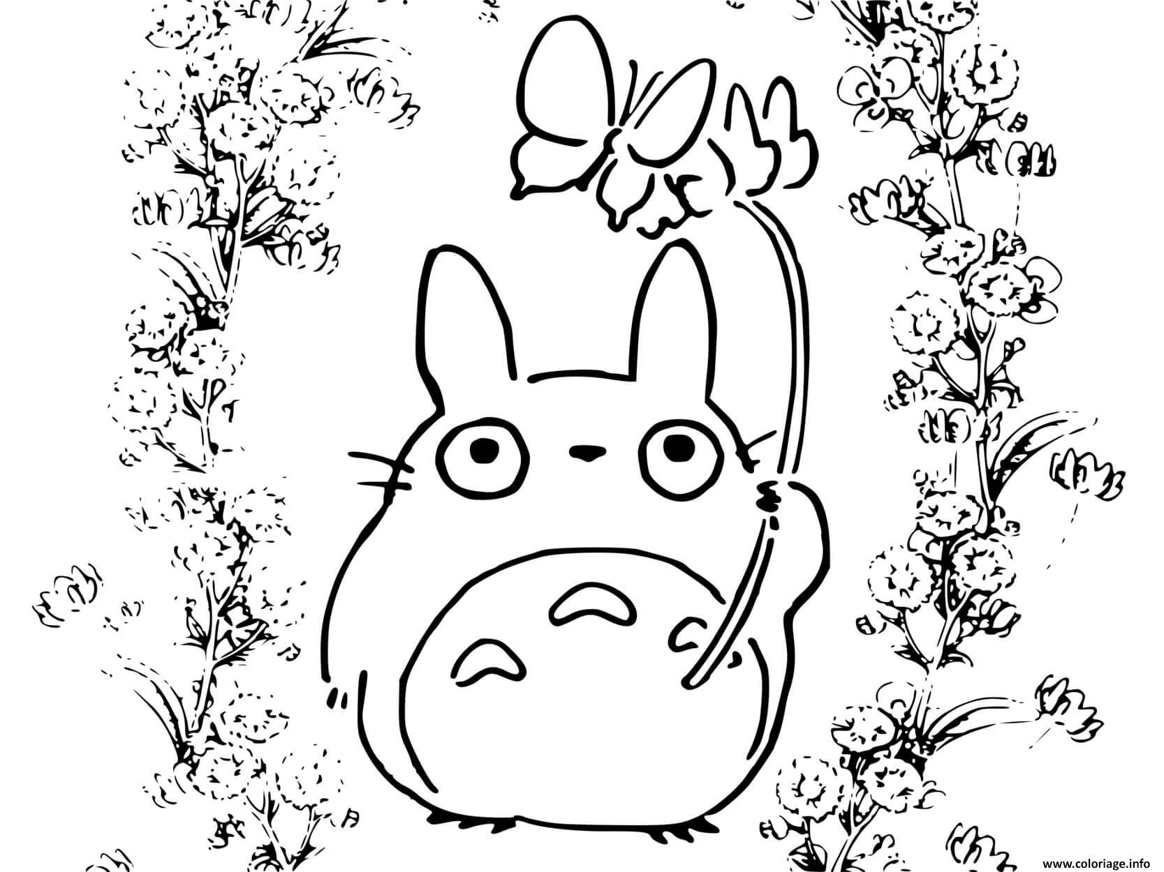 Coloriage Totoros Manga Anime Dessin à Imprimer