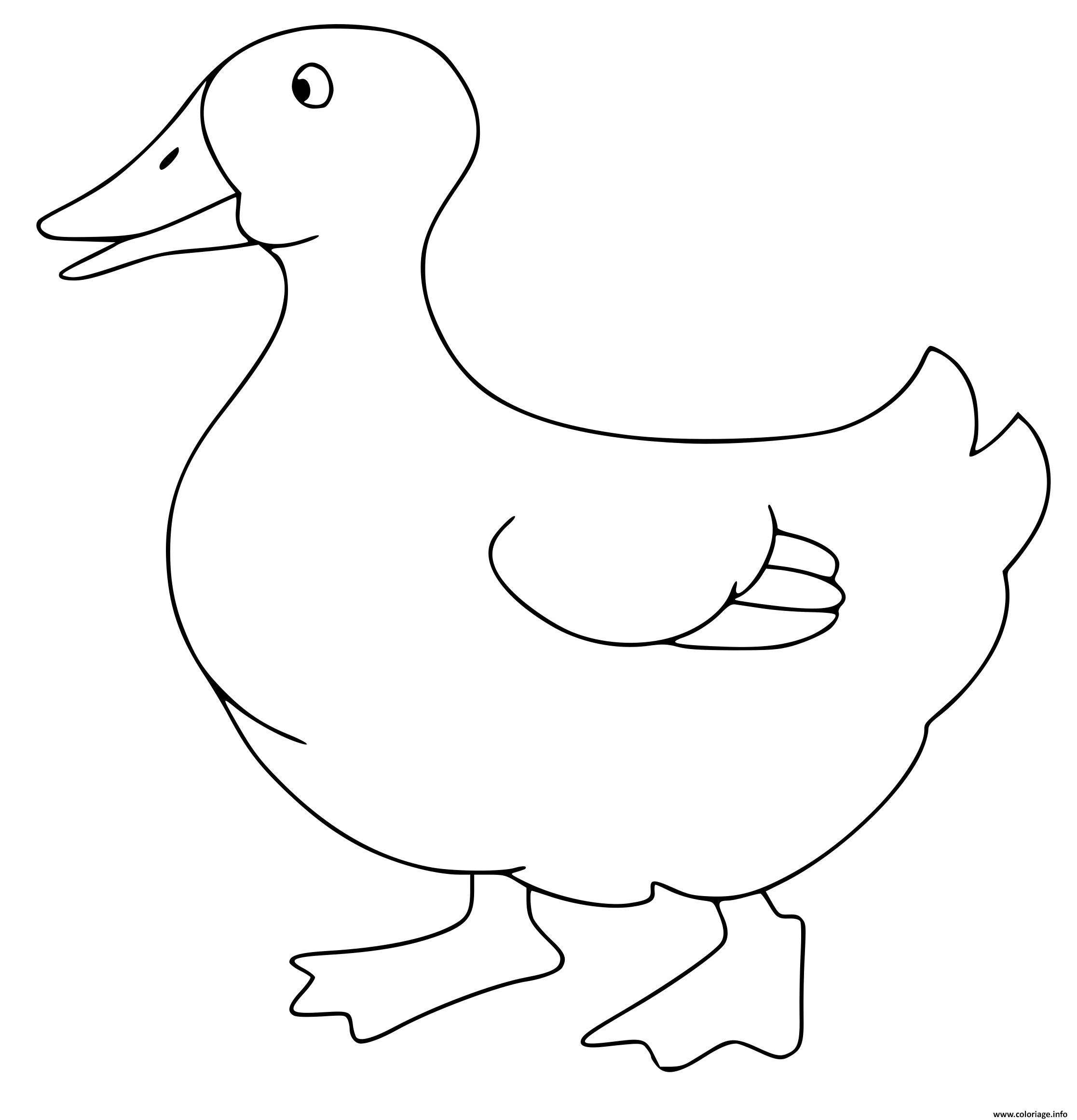 Dessin Canard Coloriage Gratuit à Imprimer