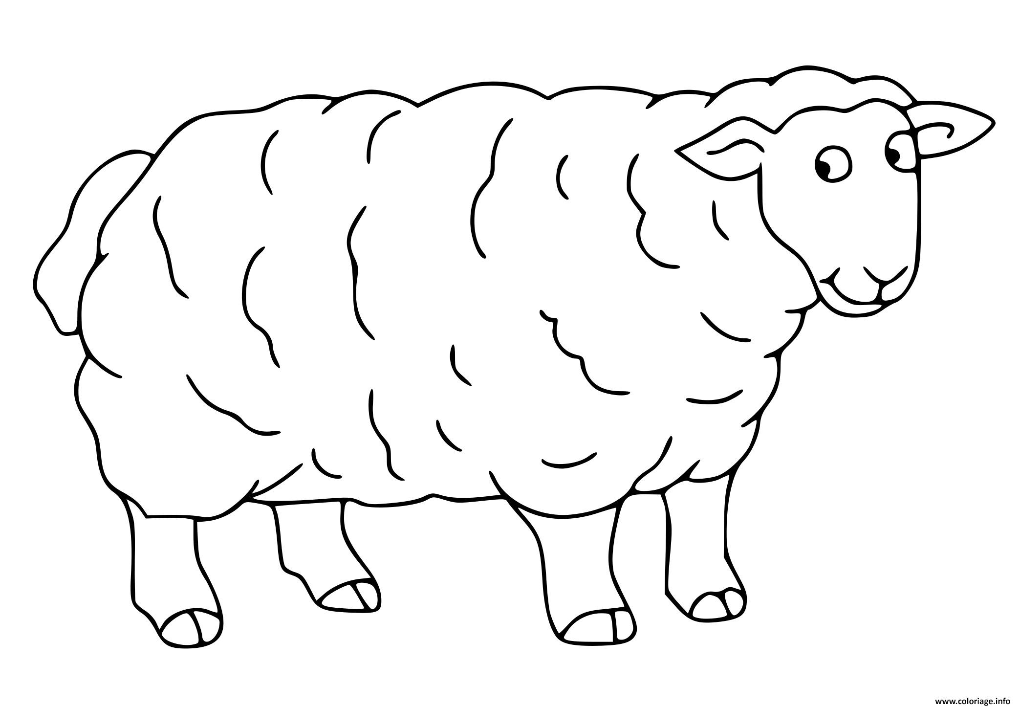 Coloriage Mouton Dessin Maternelle à imprimer