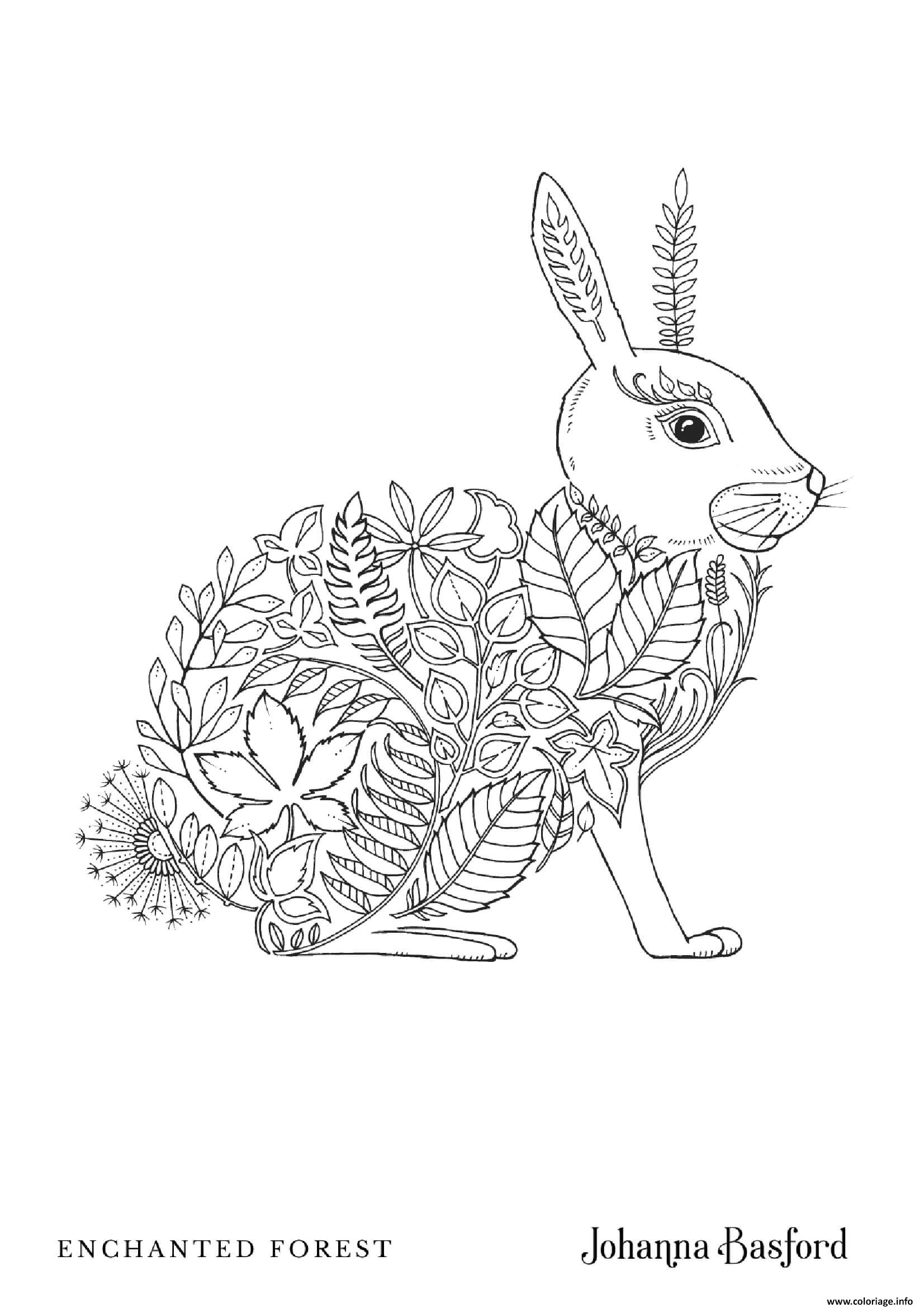 Dessin Adulte Rabbit From Enchanted Forest Coloriage Gratuit à Imprimer