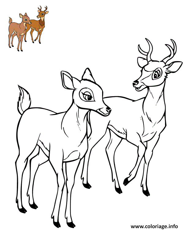 Coloriage Feline Et Bambi Adulte Dessin à Imprimer