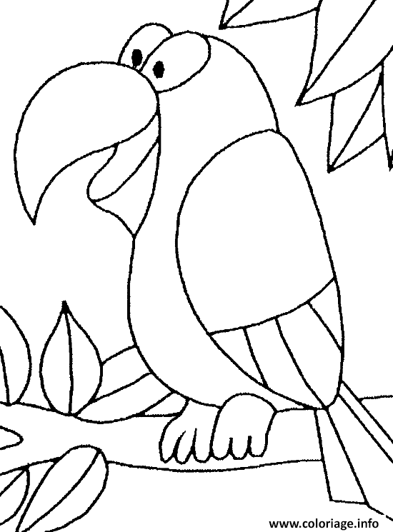 Dessin perroquet dans la nature Coloriage Gratuit à Imprimer