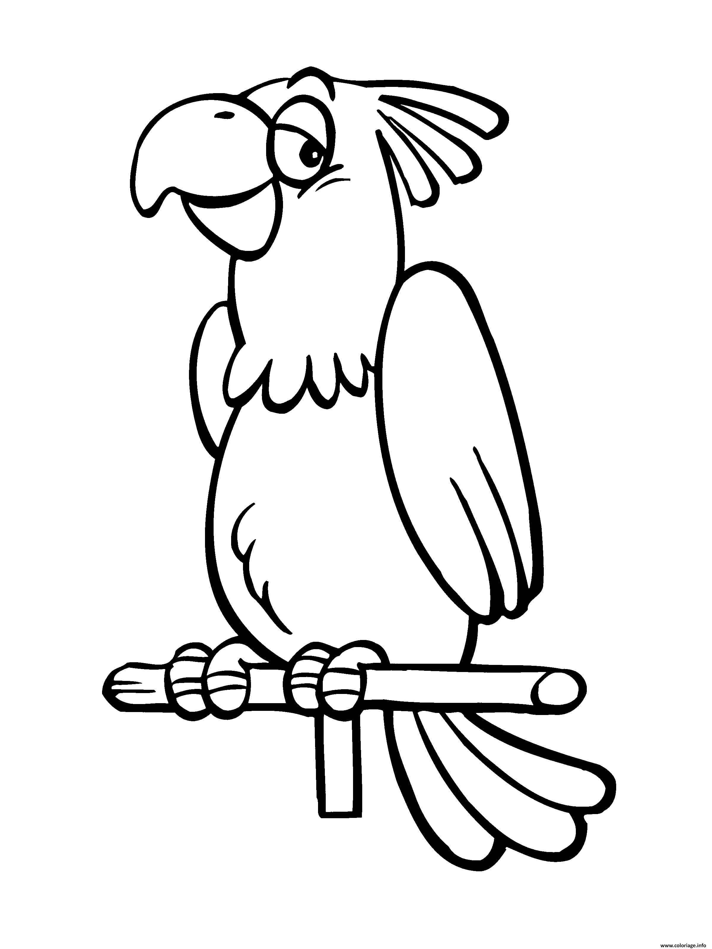 Coloriage Perroquet Oiseau Qui Aime Chanter Dessin à Imprimer