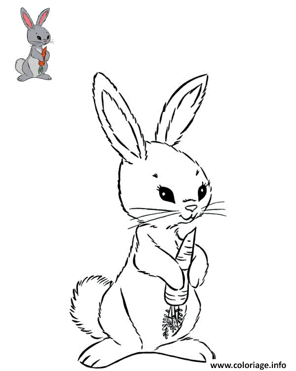 Dessin un lapin mange une carotte Coloriage Gratuit à Imprimer