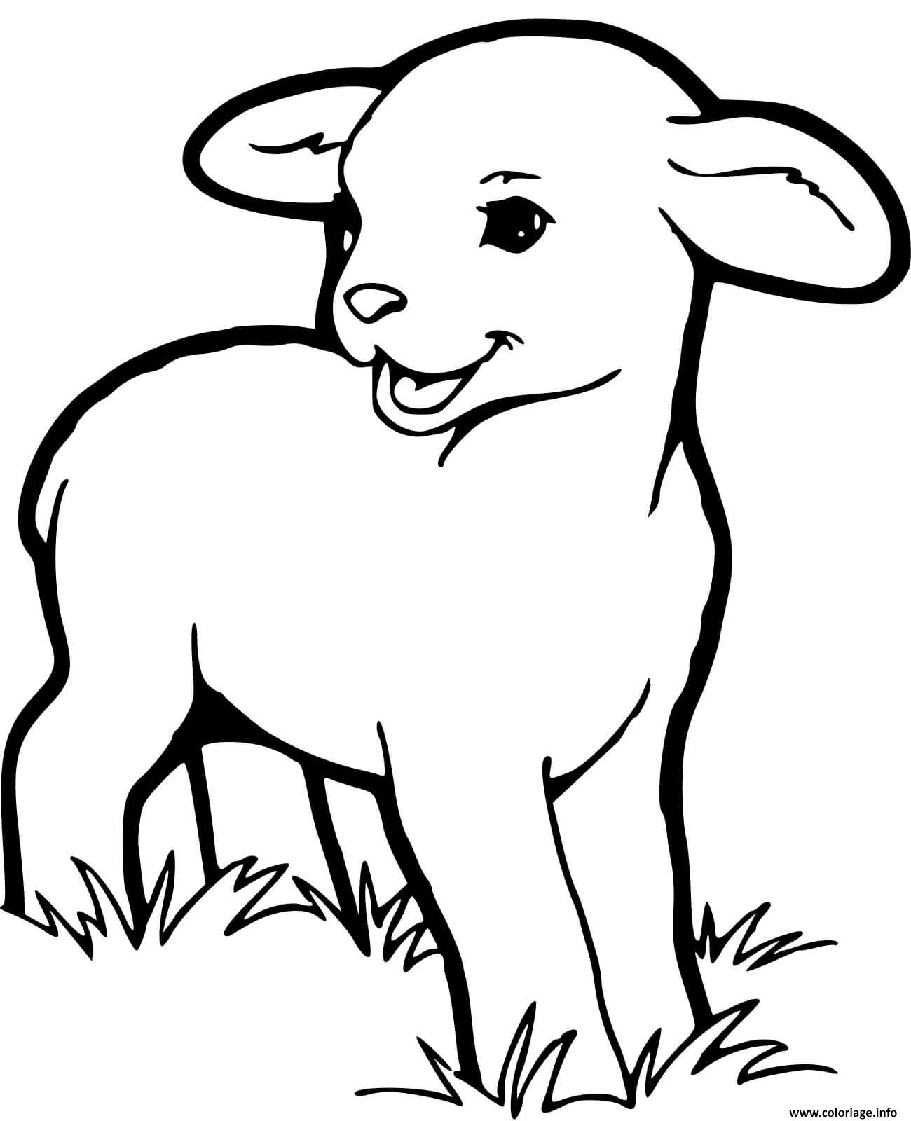 Coloriage bebe mouton - JeColorie.com