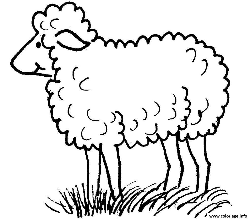 Dessin mouton dans la nature maternelle Coloriage Gratuit à Imprimer