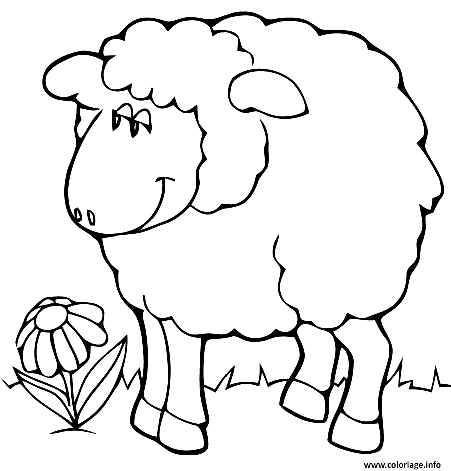 Dessin mouton maternelle facile aid Coloriage Gratuit à Imprimer