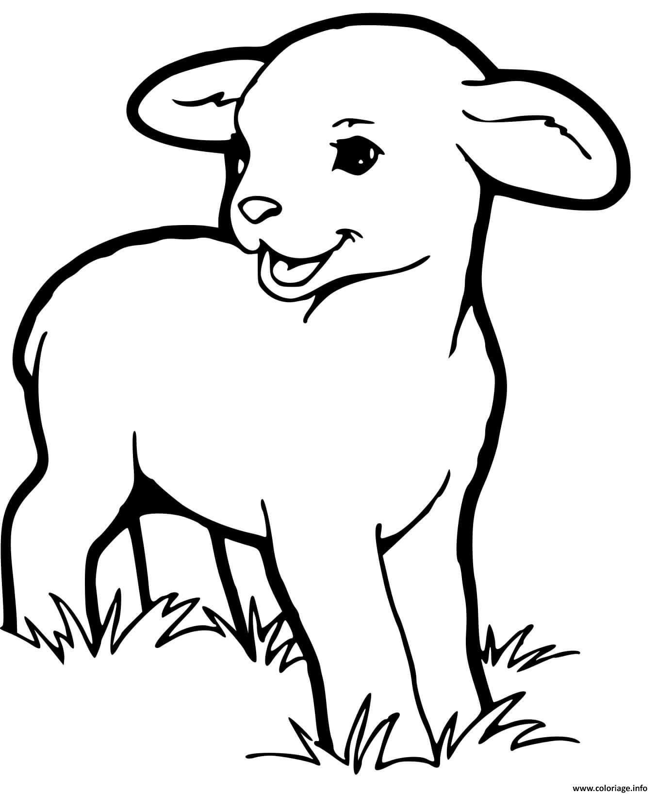 Dessin agneau le jeune mouton Coloriage Gratuit à Imprimer