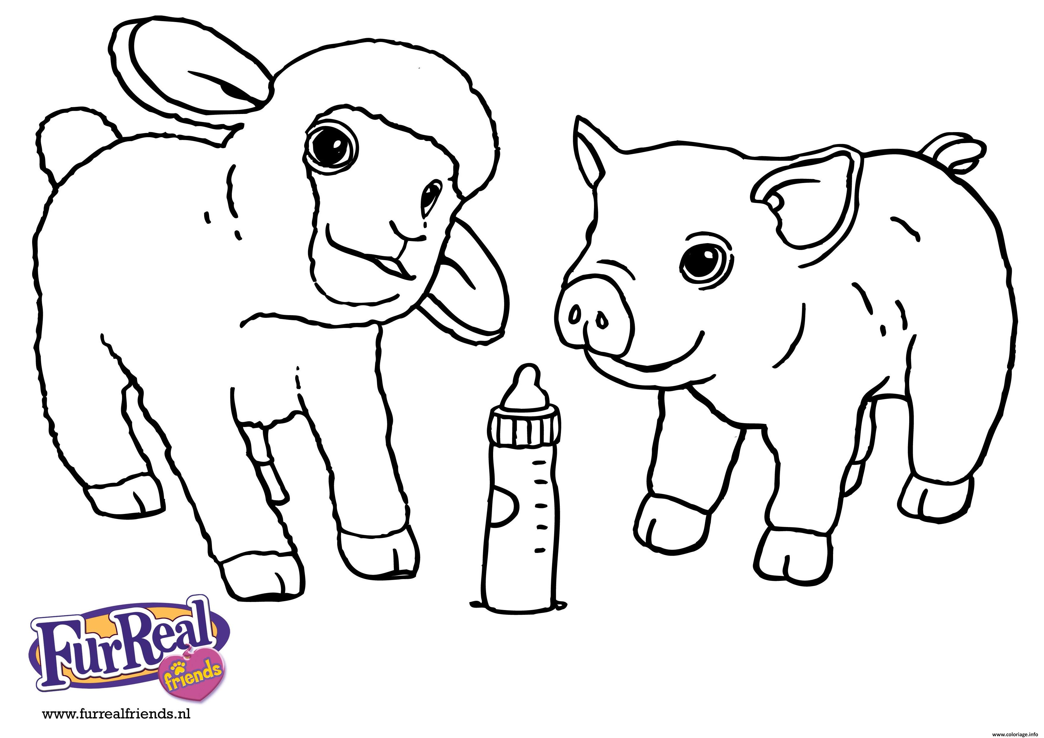 Dessin bebe mouton et bebe cochon animaux de la ferme Coloriage Gratuit à Imprimer