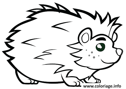 Dessin herisson avec de beaux yeux animal mignon Coloriage Gratuit à Imprimer