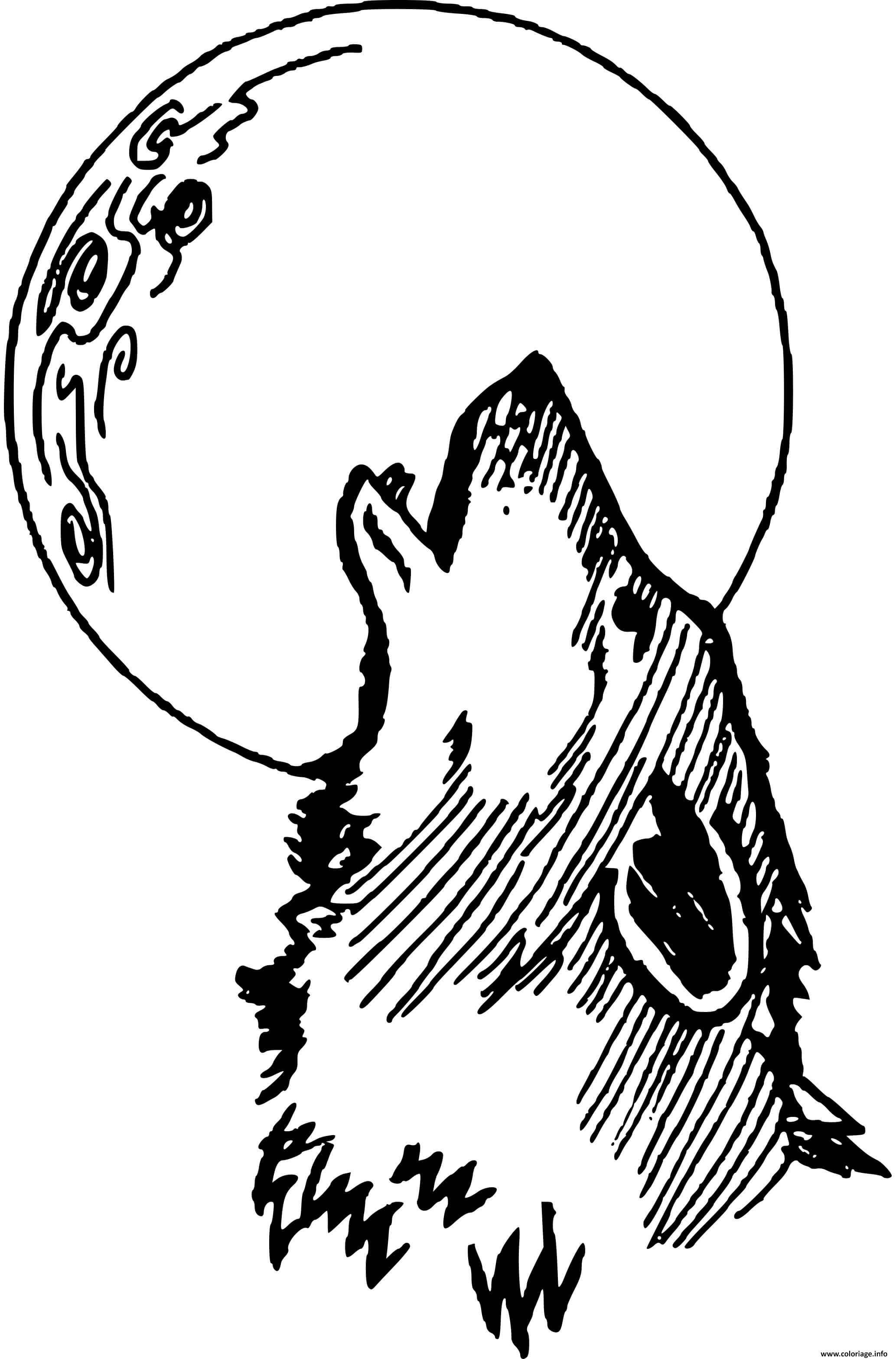 Coloriage Loup De Nuit Avec La Lune Dessin Loup A Imprimer