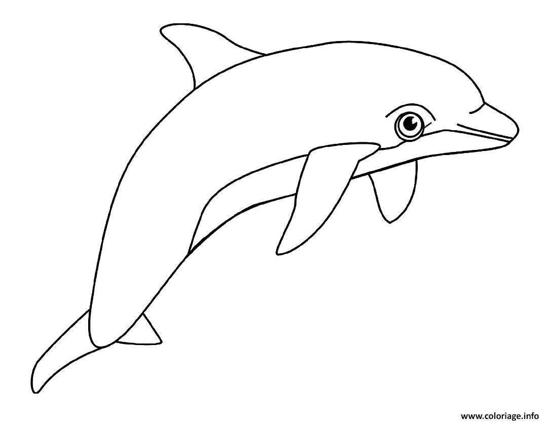 Dessin dauphin animal aquatique Coloriage Gratuit à Imprimer