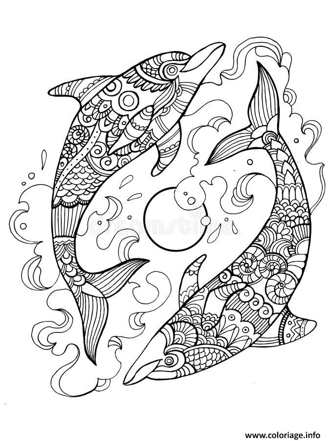 Dessin dauphin mandala adulte relax Coloriage Gratuit à Imprimer