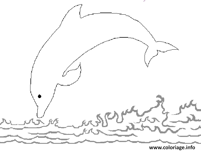 Dessin saut d un dauphin Coloriage Gratuit à Imprimer