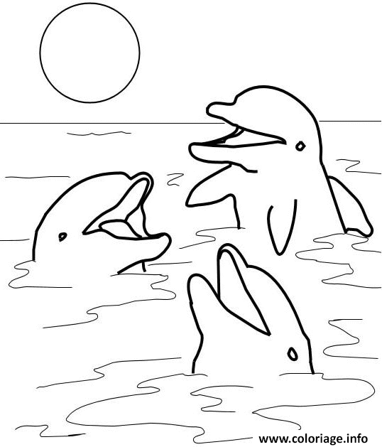 Dessin trois dauphins au soleil Coloriage Gratuit à Imprimer