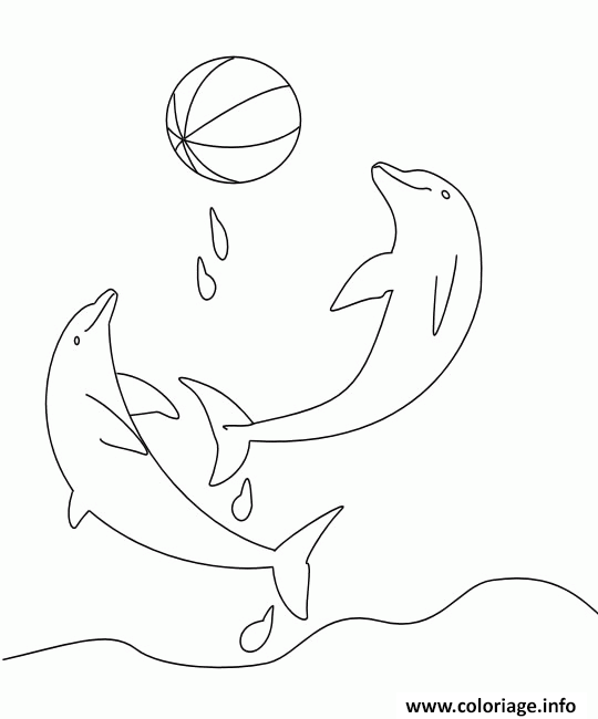 Dessin deux dauphins avec un ballon Coloriage Gratuit à Imprimer