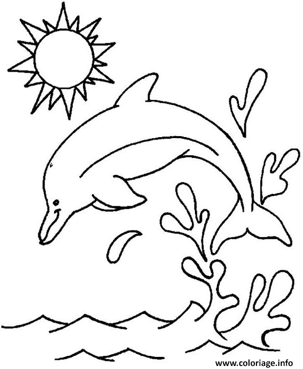 Dessin plogeon dauphin Coloriage Gratuit à Imprimer