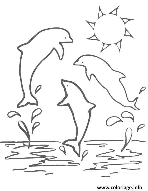 Dessin trois dauphins et un soleil Coloriage Gratuit à Imprimer