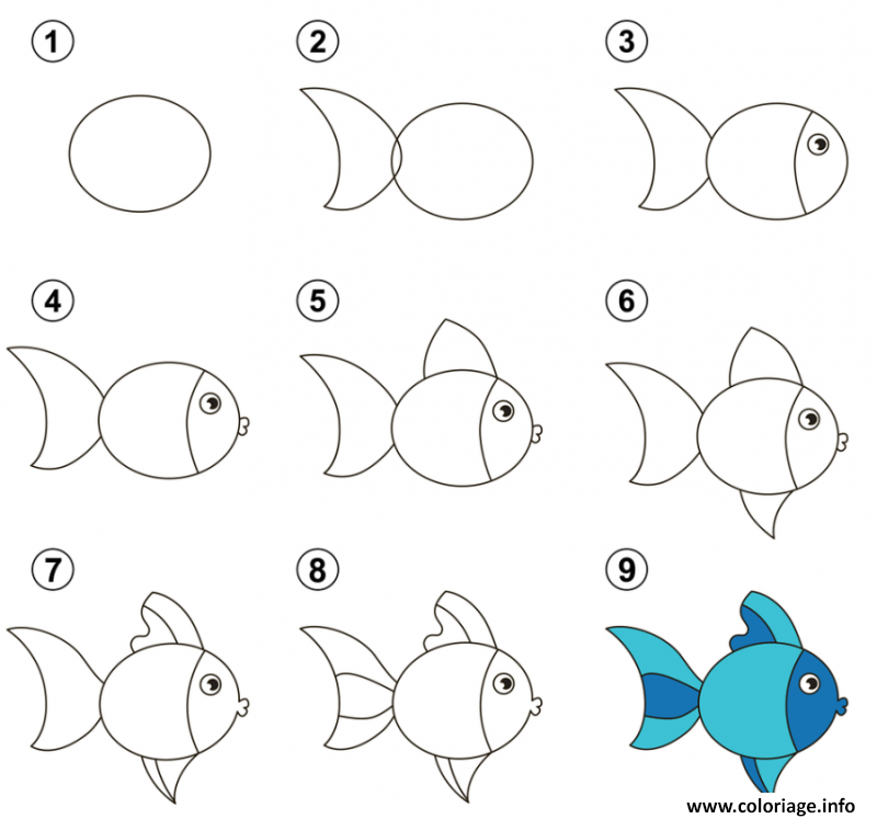 Dessin dessiner un poisson dessin facile Coloriage Gratuit à Imprimer