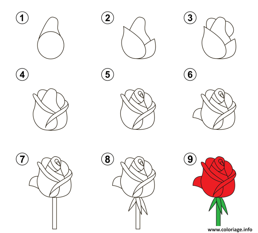 Coloriage Apprendre A Dessiner Une Rose Dessin Dessin Facile à