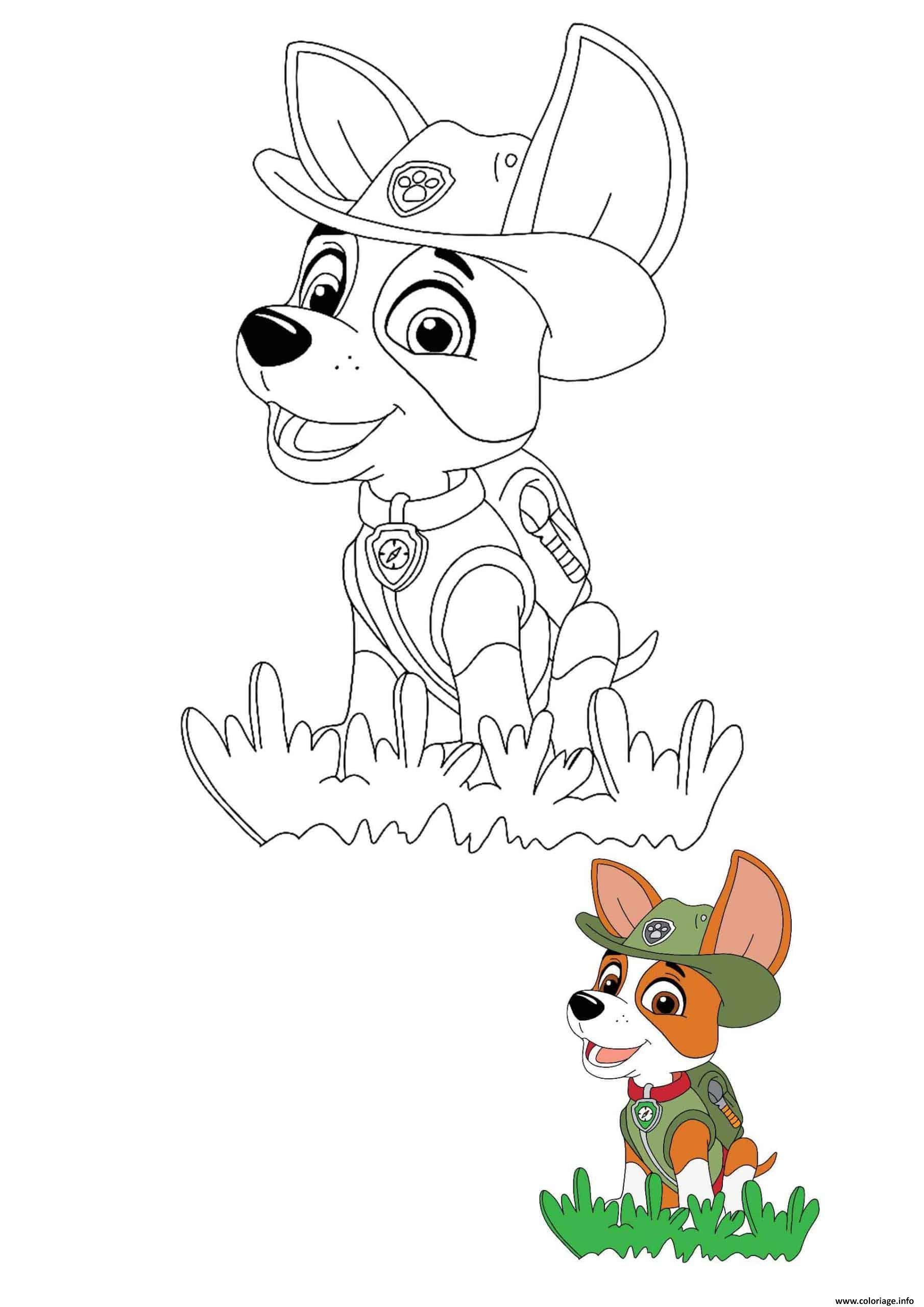 Coloriage Tracker Chihuahua Explorateur Dans La Jungle Paw Patrol Dessin à Imprimer
