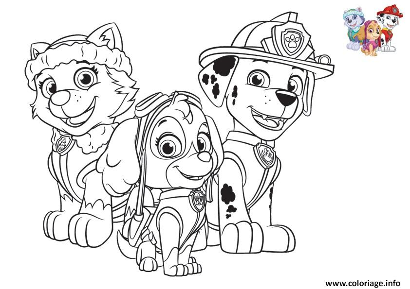 Dessin Paw Patrol Avec Stella Everest Marcus Coloriage Gratuit à Imprimer