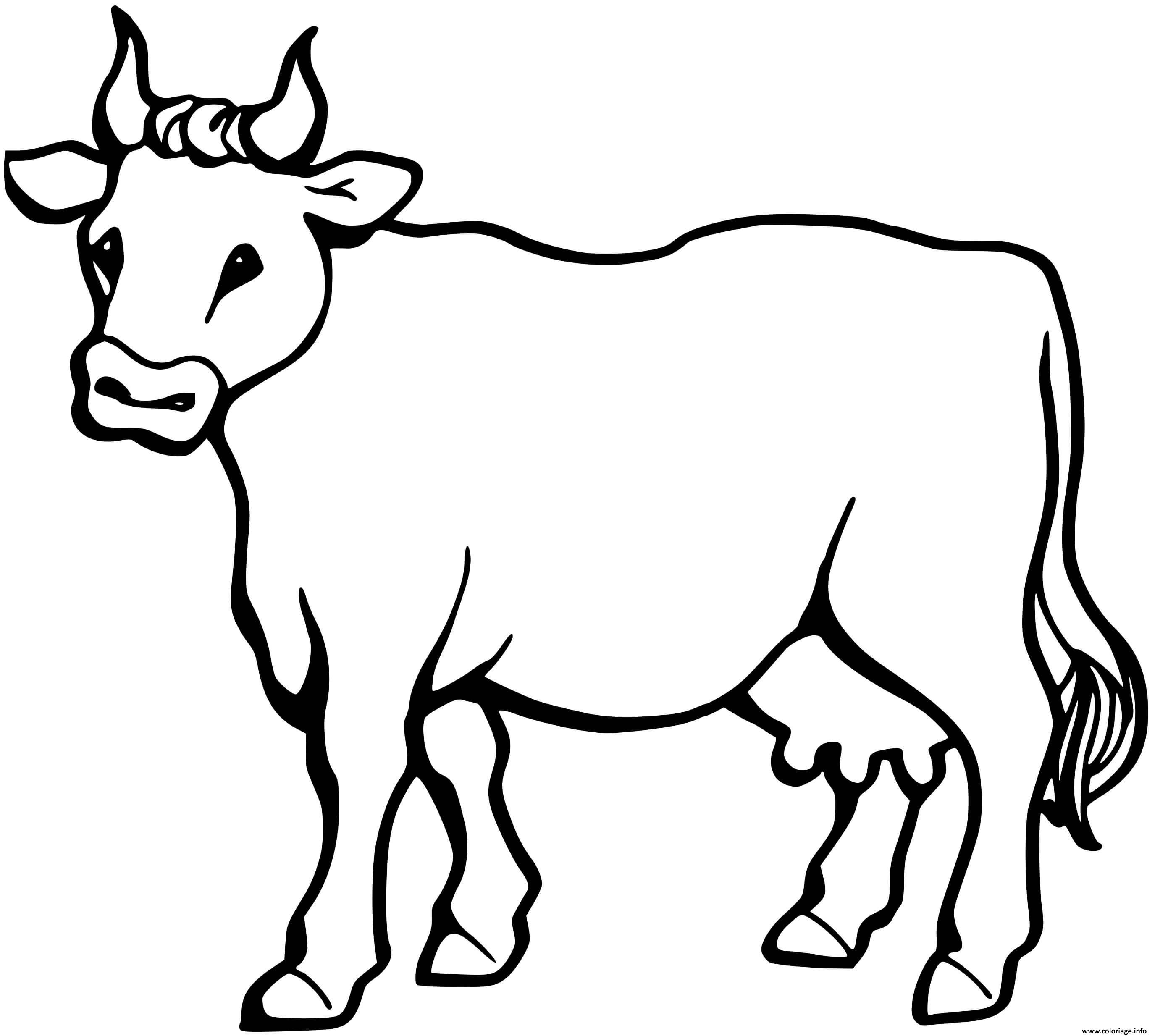 Coloriage Vache De La Famille Bovide Dessin Vache A Imprimer