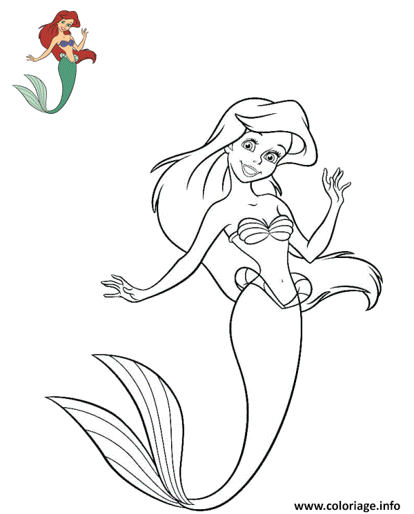 Coloriage Ariel La Petite Sirene De Disney Princesse Dessin à Imprimer