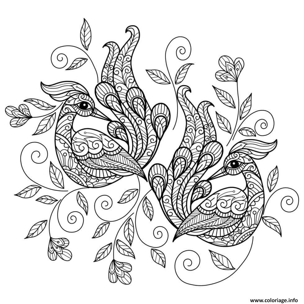 Coloriage deux oiseaux paons mandala  JeColorie.com